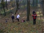 Szekszard 2010.10.30 020